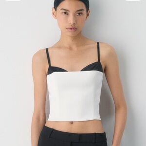 Aritzia ‘Hypnotize Bustier’ Top
